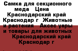 Самка для секционного меда › Цена ­ 6 - Краснодарский край, Краснодар г. Животные и растения » Аксесcуары и товары для животных   . Краснодарский край,Краснодар г.